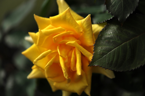 100512 m3 DSC_9570.jpg